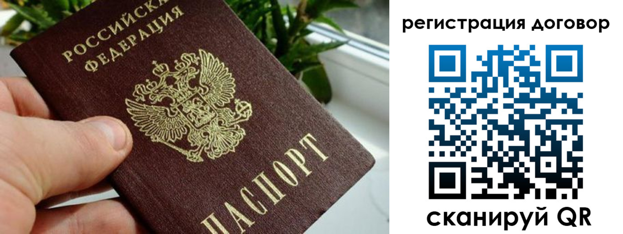 прописка ребенка в Вышнем Волочке
